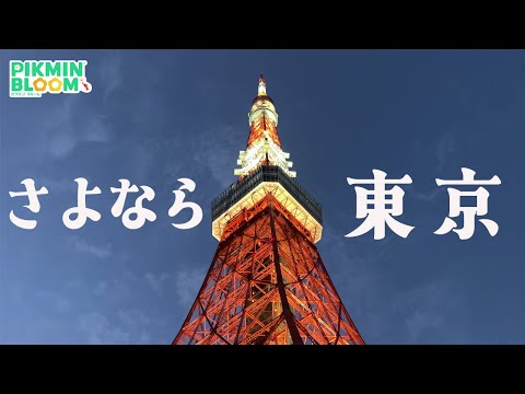 東京から引っ越ししたらピクブルの環境が大きく変わった！【ピクミンブルーム/PikminBloom】