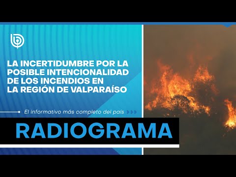 La incertidumbre por la posible intencionalidad de los incendios en la región de Valparaíso
