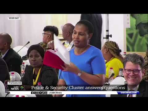 Peace and Security Cluster answer questions in Parliament