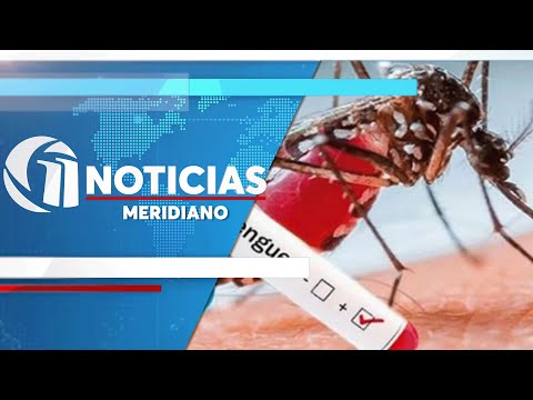 San Padro Sula en alerta por alto índice de casos de Dengue (16-1-24)