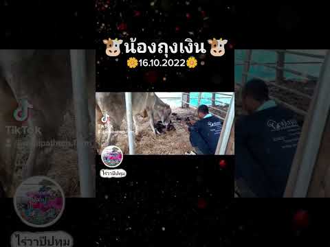 ยินดีต้อนรับน้องถุงเงินน้องวั