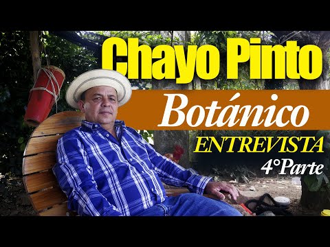 ENTREVISTA A BOTANICO CHAYO PINTO - CUARTA PARTE (4/4)