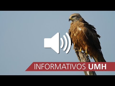 13.07.2022 Informativo Radio UMH