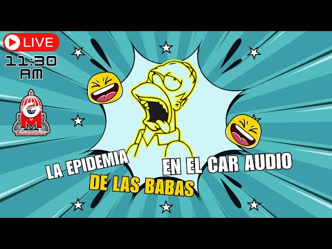 LA EPIDEMIA DE LAS BABAS EN EL CAR AUDIO  -El Gobierno del Musicólogo