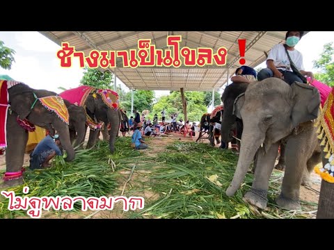 เก็บตกเบื้องหลัง-งานขึ้นบ้านพี เก็บตกเบื้องหลัง-งานขึ้นบ้านพี