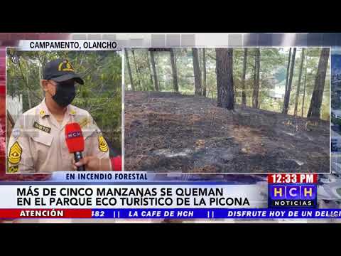 ¡Lamentable! Mas de cinco manzana del Parque Eco Turístico La Picona fueron pasto de las llamas