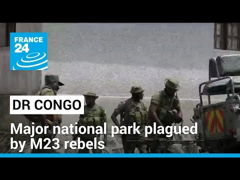 Democratic Republic of Congo: Virunga national park plagued by M23 rebels • FRANCE 24 English