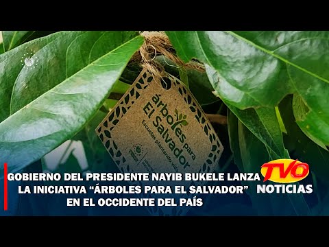 Gobierno de la República lanza la iniciativa “Árboles para El Salvador” en el occidente del país.