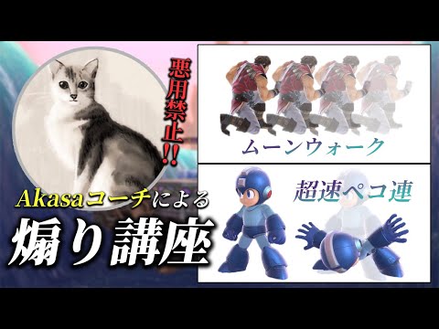 これを観ればVIPのしゃがみ煽りにもうイラつかない！akasa先生のしゃがみ煽り講座【スマブラSP】