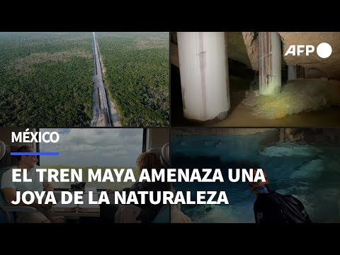 En México, el Tren Maya amenaza una joya de la naturaleza a su paso | AFP