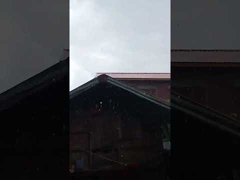 ฝนตกทุกวันงดต่อนก