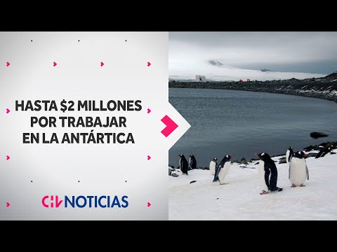 Ofrecen hasta $2 MILLONES DE SUELDO por trabajar en la Antártica: Así puedes postular