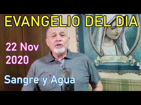Evangelio Del Dia de Hoy - Domingo 22 Noviembre 2020- Sangre y Agua
