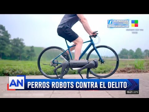 La nueva tendencia de perros robots