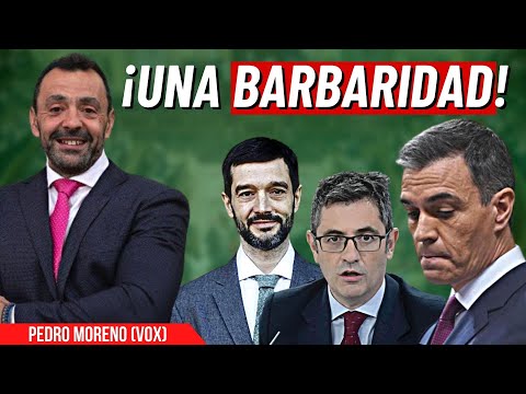 Pedro Moreno (VOX): Revela el sesgo ideológico de la “inocente” reforma Constitucional de Sánchez