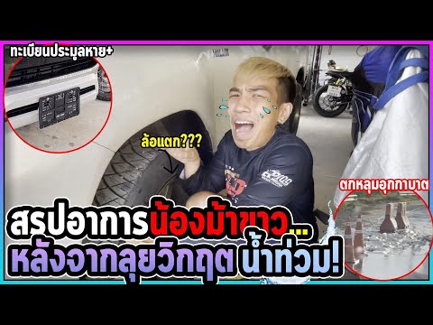 น้ำท่วมจนขับรถตกหลุมใหญ่-แมคแต น้ำท่วมจนขับรถตกหลุมใหญ่-แมคแต