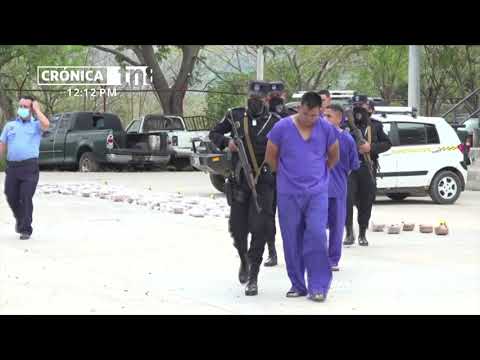 Incautan más de 300 libras de marihuana y capturan a 6 personas en Nueva Segovia - Nicaragua
