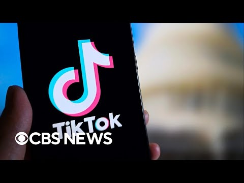 TikTok points out lawmakers' hypocrisy in legal filing