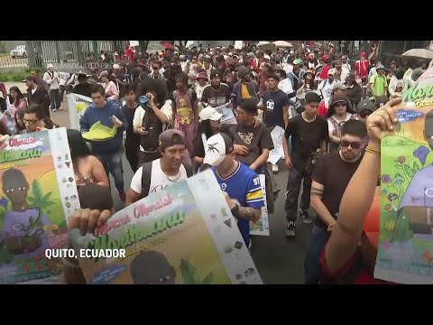 Dozens of people march through streets of Quito demanding recreational marijuana legalization