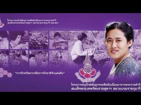 โครงการสอดคล้องตามยุทธศาสตร์จั