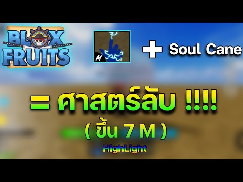 BloxFruitHighLightล่าค่าหัว