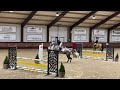 Show jumping horse Super amateur 120 mare BOMBPROOF with a lot of show experience
