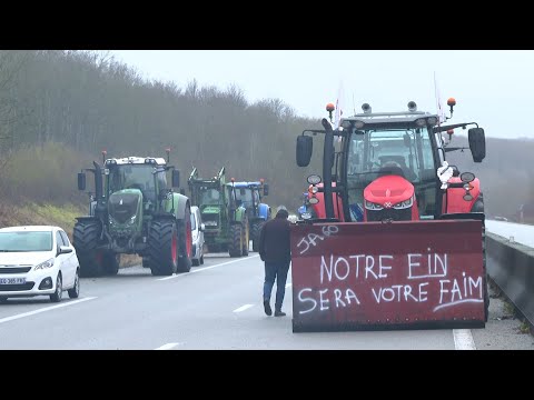 Aux portes de Paris, l'A16 bloquée par les agriculteurs | AFP Images