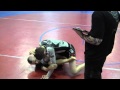 Wolfie Steel vs Bobby Bailey 15 17 NoGi