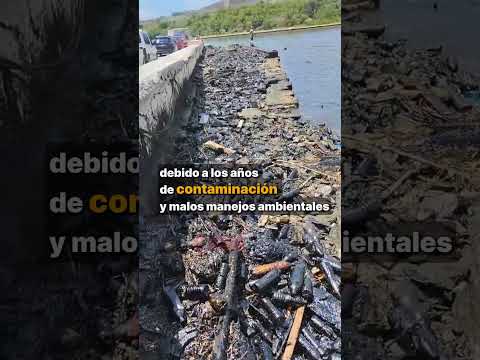 BAHÍA de La Habana: ¡Mira cómo está la CONTAMINACIÓN!#Shorts