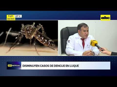 Disminuyen casos de dengue en Luque