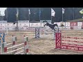 Show jumping horse HERO