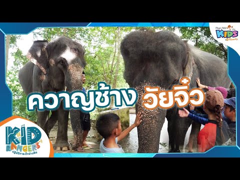 ควาญช้างวัยจิ๋ว|KidRangers