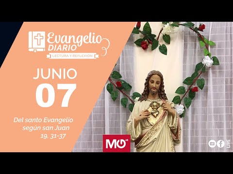 Lectura y reflexión | 7 de mayo 2024 | Del santo Evangelio según san Juan: 19, 31-37.