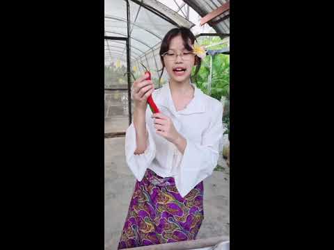 วิธีการทำต้มข่าไก่-(ให้โลกจำ) วิธีการทำต้มข่าไก่-(ให้โลกจำ)