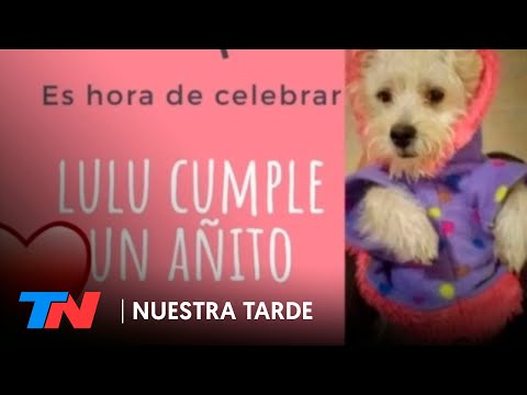 Córdoba | Una funcionaria quedó imputada por organizarle un festejo de cumpleaños a su perra