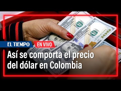 ¿Para dónde va el dólar en Colombia? Pronósticos de la divisa | El Tiempo