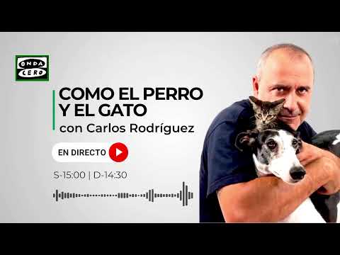 Como el Perro y el Gato 24/02/2024