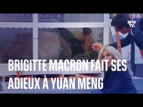 Brigitte Macron fait ses adieux au panda Yuan Meng avant son départ pour la Chine