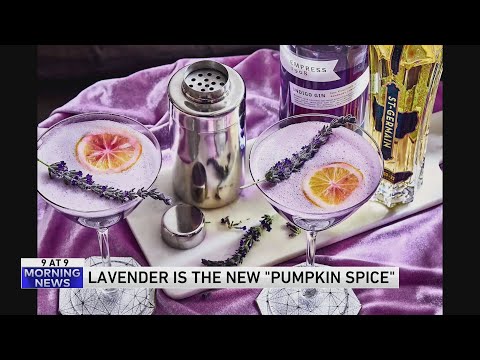 Lavender is the new pumpkin spice