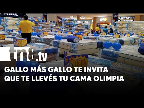 Aprovecha con el Gallo Más Gallo y llevate tu Cama Olimpia