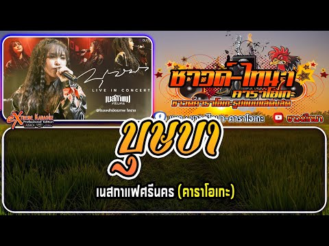 บุษบาคาราโอเกะ-แสดงสดเนสกา