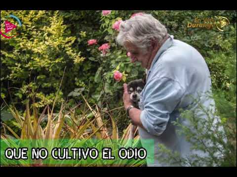 José Mujica -En mi jardín hace décadas que no cultivo el odio-