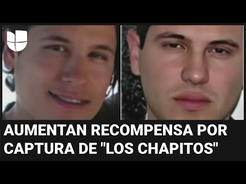 La DEA aumenta a $10 millones la recompensa para capturar a ‘Los Chapitos’, los hijos de ‘El Chapo’