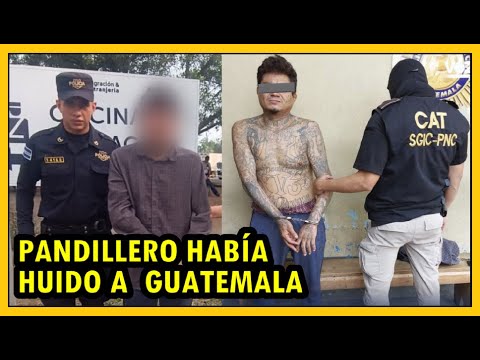 El caso de El Tunco capturado en Guatemala | Depuración judicial y seguridad