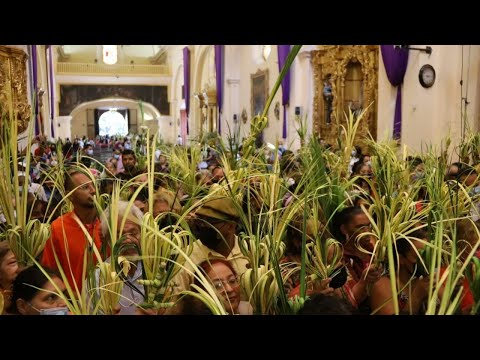 Semana Santa: Palmas rayaron en Domingo de Ramos