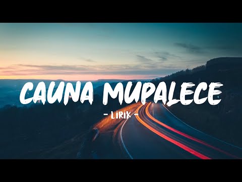 cauna mupalece | lirik | Voc. wiwi anjani | lagu bugis viral tiktok