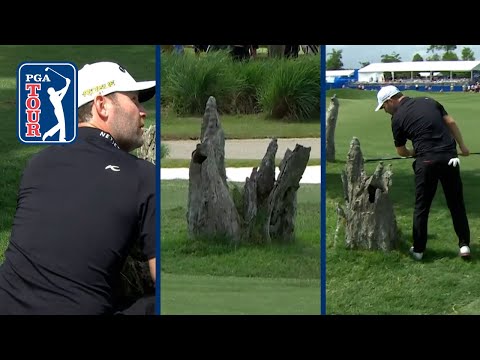 Golf 🏑Branden Grace’s ruling after unlucky drive finds split tree stump, still makes miracle par