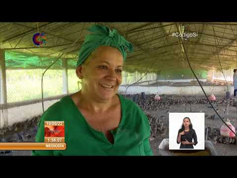 Cuba/Cienfuegos: Incrementan cría de codornices para producción de huevos