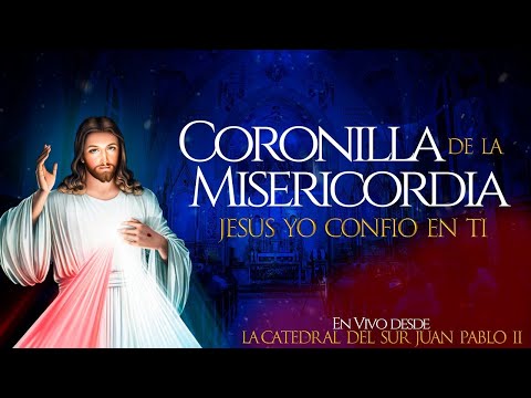CORONILLA A JESÚS DE  LA DIVINA MISERICORDIA l 2 DE JULIO 2024 l  PadreOscardelaVega