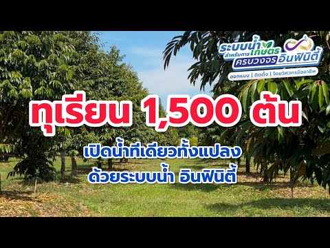 ทุเรียน1,500ต้นเปิดน้ำทีเดี